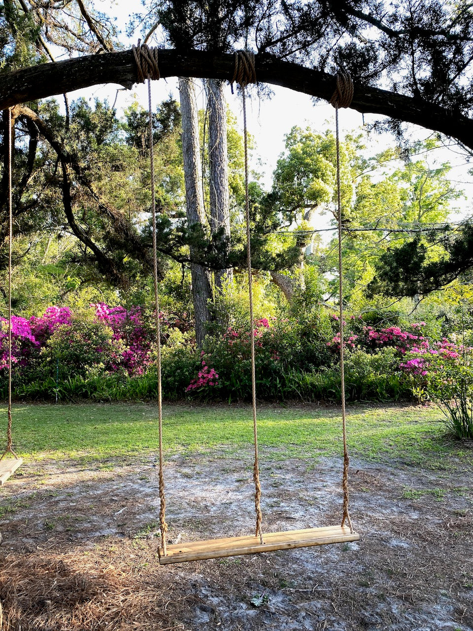 rubber horse tree swing The 42 Twin" Tree Swing – Southern Pine Swing Company
